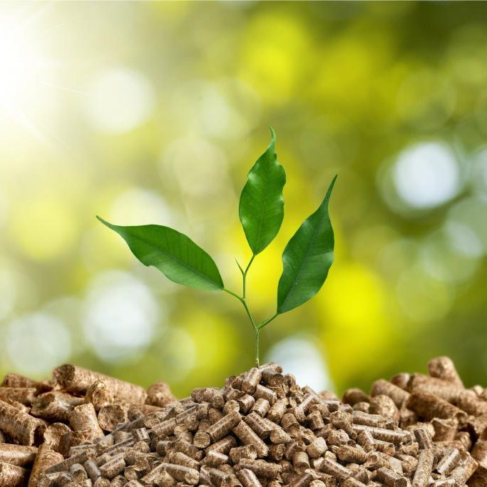 adobestock_108028733_billionphotos1 adobestock_108028733_billionphotos1