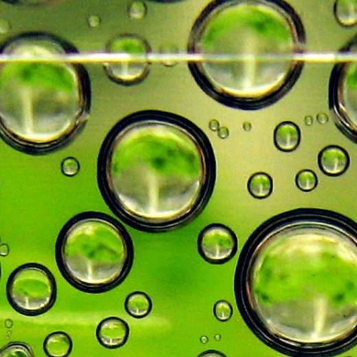 biofuels-opti-a-1200x520 biofuels-opti-a-1200x520